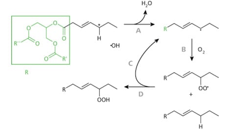 Lipid_peroxidation